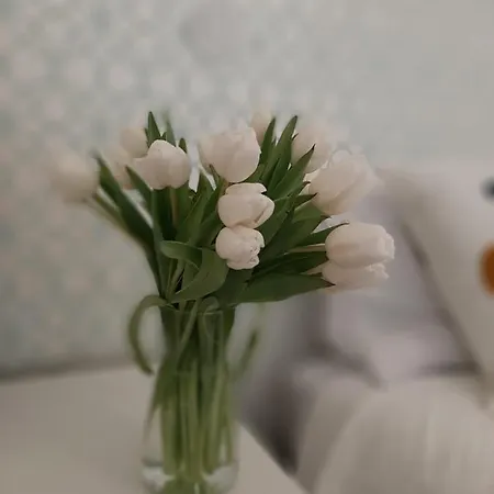 Residenza Dutzu - Apartment Leiria