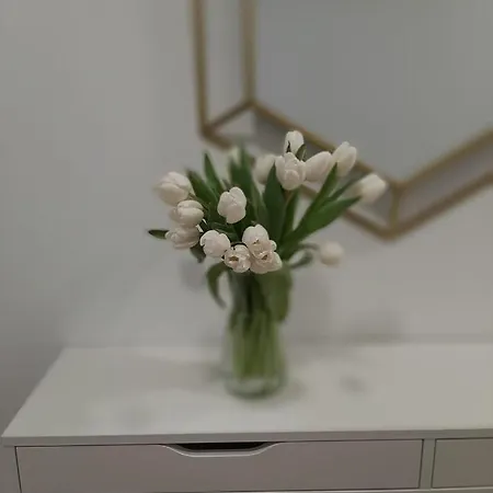 Residenza Dutzu - Lägenhet 4*