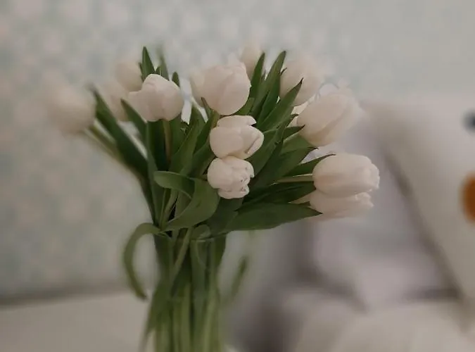 Residenza Dutzu - Апартаменты Лейрия