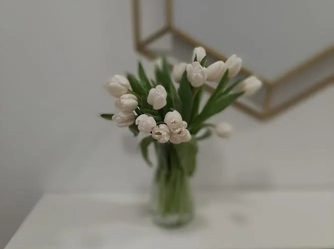 Residenza Dutzu - Апартаменты 4*